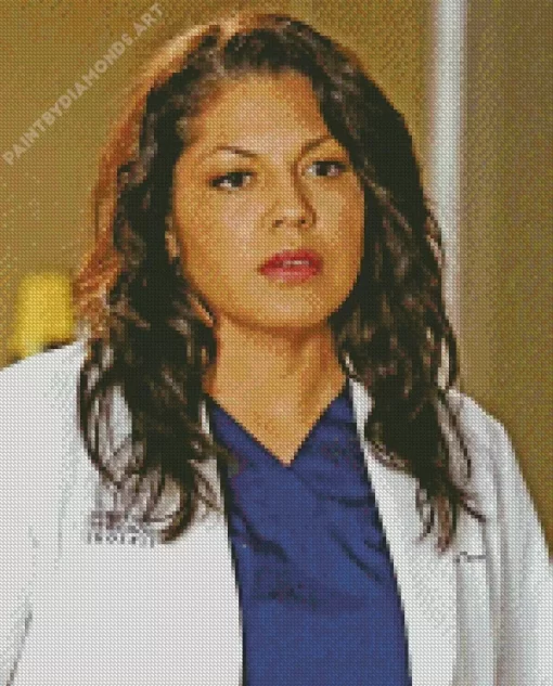 Callie Torres Diamond Painting