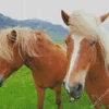 Horses With Blond Hair Diamond Painting