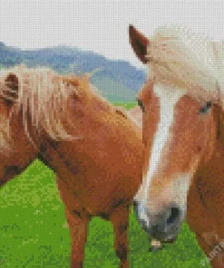 Horses With Blond Hair Diamond Painting