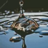 The Black Water Drop Diamond Painting