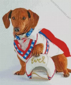 Aesthetic Evel Knievel Dog Diamond Painting