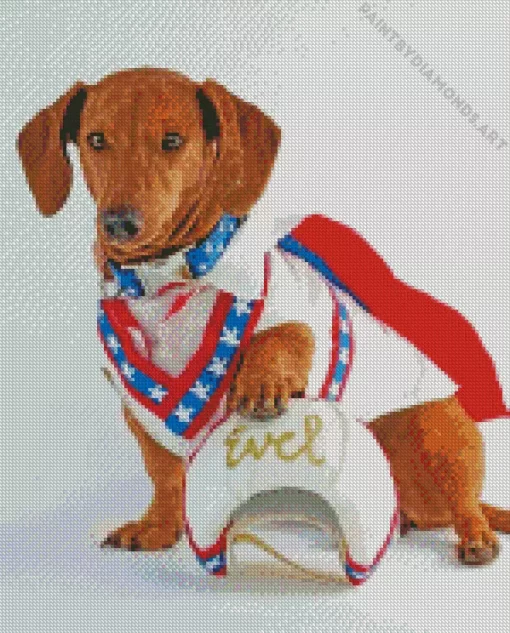 Aesthetic Evel Knievel Dog Diamond Painting