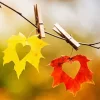 Aesthetic Fall Heart Leaf Diamond Painting