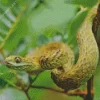 African Bush Viper Diamond Painting