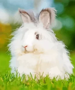 Angora Rabbit Diamond Painting