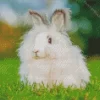 Angora Rabbit Diamond Painting