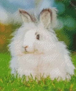 Angora Rabbit Diamond Painting