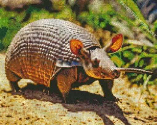 Armadillo Animal Diamond Painting