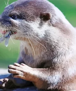 Asian Small Clawed Otter Diamond Painting