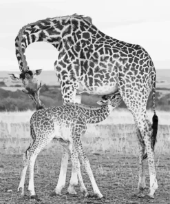 Baby and Mom Giraffe Diamond Painting