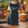 Baby Bombay Cat Diamond Painting