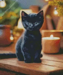 Baby Bombay Cat Diamond Painting