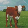 Baby Brown And White Cow Diamond Painting