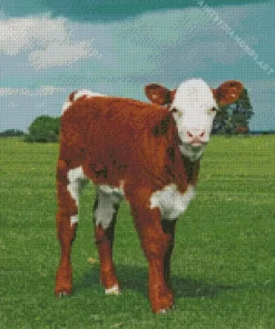 Baby Brown And White Cow Diamond Painting