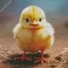 Baby Chick Diamond Painting