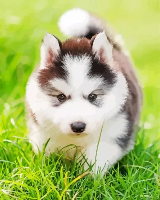 Baby Husky Diamond Painting