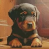 Baby Rottweiler Diamond Painting