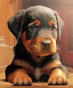 Baby Rottweiler Diamond Painting