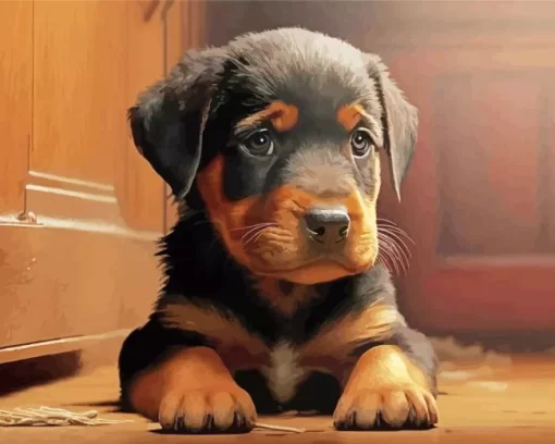 Baby Rottweiler Diamond Painting