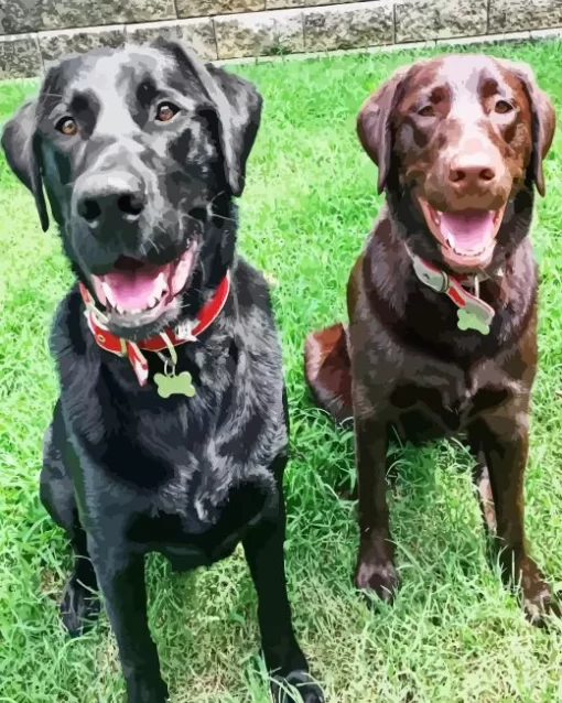 Black Vs Chocolate Lab Dogs Diamond Painting