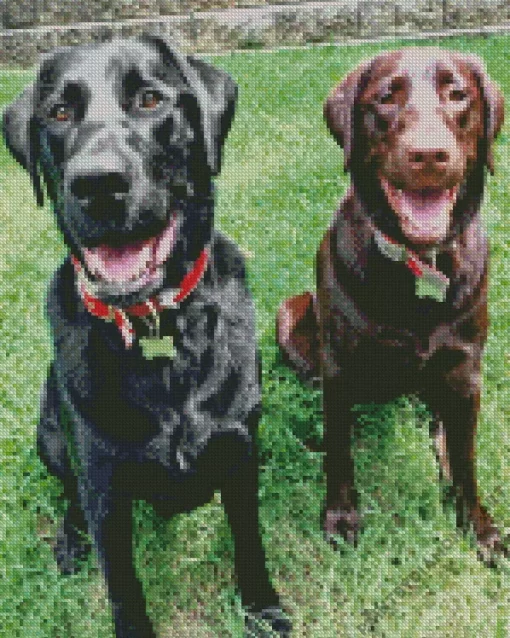 Black Vs Chocolate Lab Dogs Diamond Painting