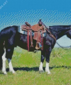 Black Western Horse Diamond Painting