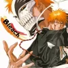 Bleach Ichigo Half Hollow Art Diamond Painting