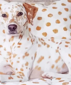 Blond Dalmatian Diamond Painting