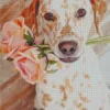 Blond Dalmatian And Roses Diamond Painting