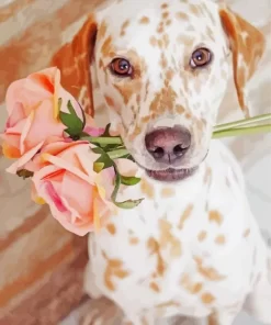 Blond Dalmatian And Roses Diamond Painting