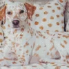 Blond Dalmatian Diamond Painting