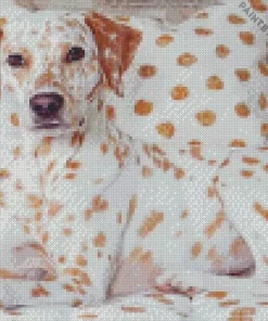 Blond Dalmatian Diamond Painting