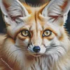 Blond Fox Diamond Painting