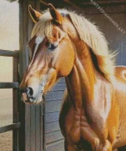 Blond Hair Horse Diamond Painting