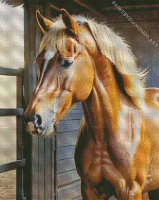 Blond Hair Horse Diamond Painting