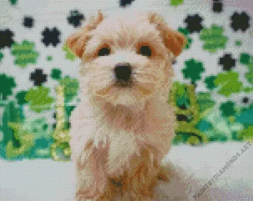 Blond Morkie Puppy Diamond Painting