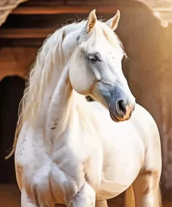 Blonde Arabian Horse Diamond Painting