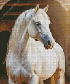 Blonde Arabian Horse Diamond Painting