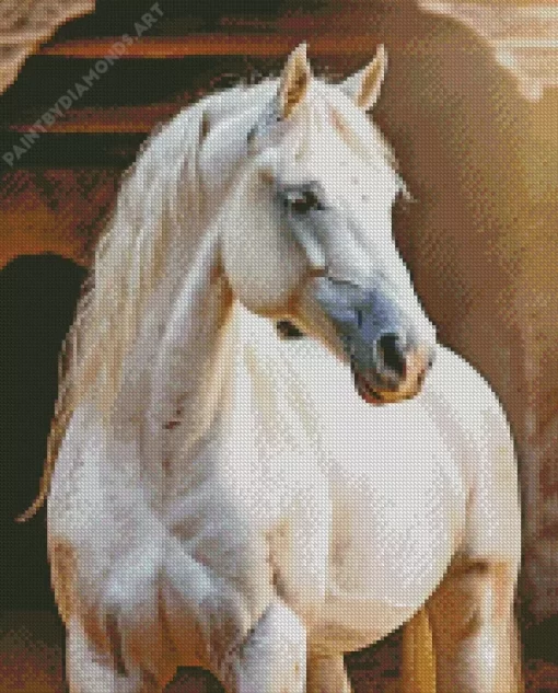 Blonde Arabian Horse Diamond Painting