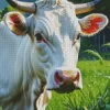 Blonde Cow Diamond Painting