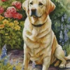 Blonde Labrador Diamond Painting