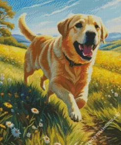 Blonde Labrador Running Diamond Painting