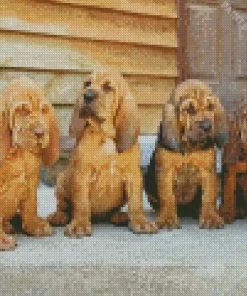 Bloodhound Puppies Diamond Painting