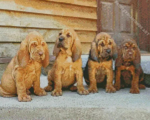 Bloodhound Puppies Diamond Painting