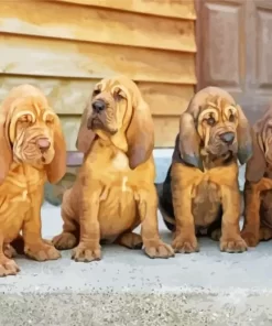 Bloodhound Puppies Diamond Painting