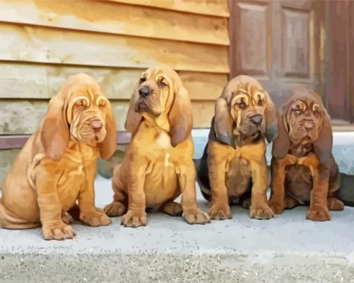 Bloodhound Puppies Diamond Painting