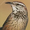 Cactus Wren Diamond Painting