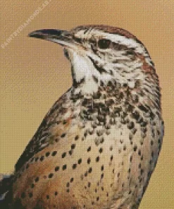 Cactus Wren Diamond Painting