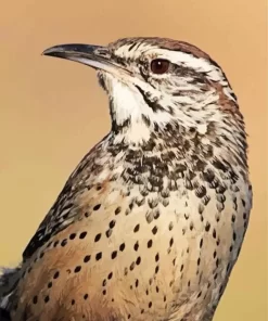 Cactus Wren Diamond Painting