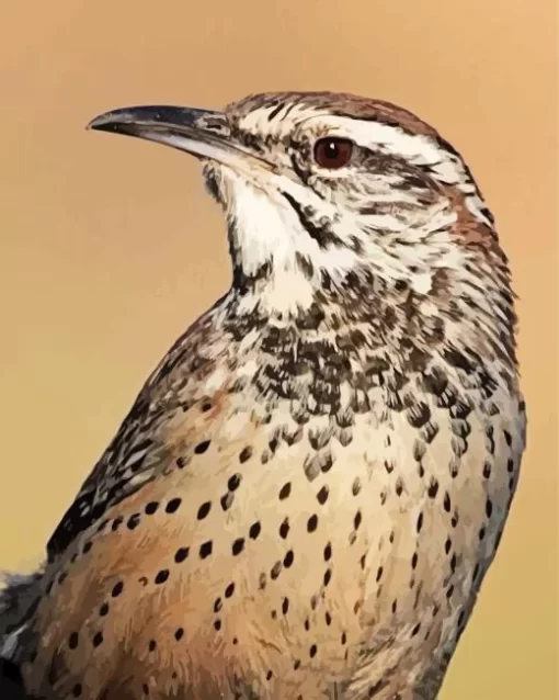 Cactus Wren Diamond Painting